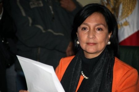 Amalia García Medina