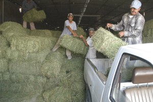 El Ayuntamiento capitalino ha apoyado a pequeños productores de las 22 comunidades del municipio en cuestión de la agricultura.