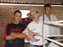 Recorrió granjas porcinas en Tabasco apoyadas con 50 por ciento de su inversión bajo esquema de Tianguis Agropecuarios y Proyectos Productivos con Migrantes