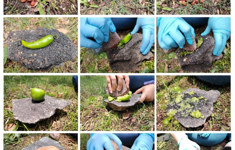 DESCUBREN RESTOS ARQUEOLÓGICOS DE 6,000 AÑOS DE ANTIGÜEDAD EN XOCHIMILCO